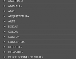palabras-clave