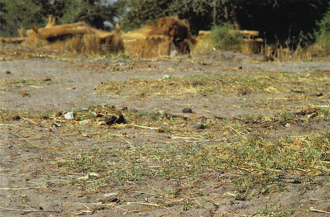 1994-Sudan-680x447