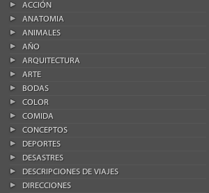 Curso de Adobe Lightroom nº 60: Jerarquía de palabras clave en Lightroom