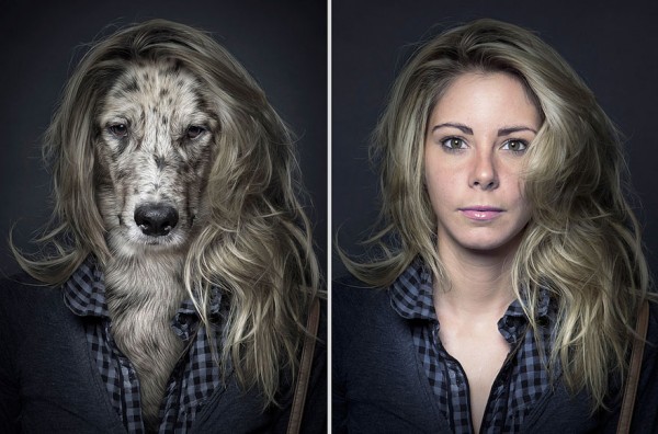 Underdogs: perros y dueños, de Sebastian Magnani