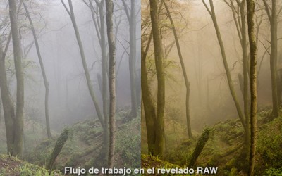 Curso de Adobe Lightroom 5 – Capítulo 52: Mi flujo de trabajo