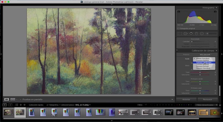 Curso de Adobe Lightroom 5 – Capítulo 58: Colores reales con una tarjeta gris