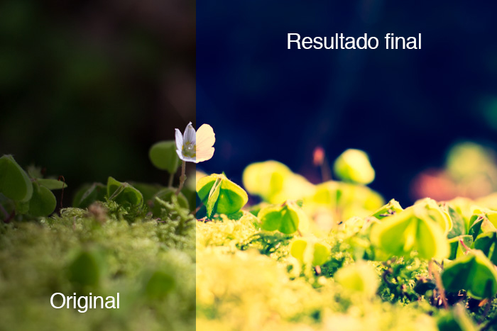 Lightroom: Revelado con curvas de tonos