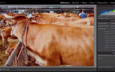 Curso de Adobe Lightroom 5 y 6 – Capítulo 72: El histograma