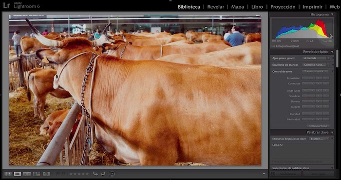 Curso de Adobe Lightroom 5 y 6 – Capítulo 72: El histograma