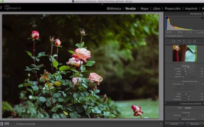 Revelado nº26 – Revelado de una fotografía tomada con el objetivo Hellios 44M