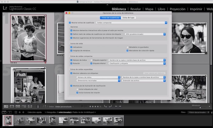 Curso de Lightroom Classic – Capítulo 17: Módulo biblioteca, configuración de la vista cuadrícula