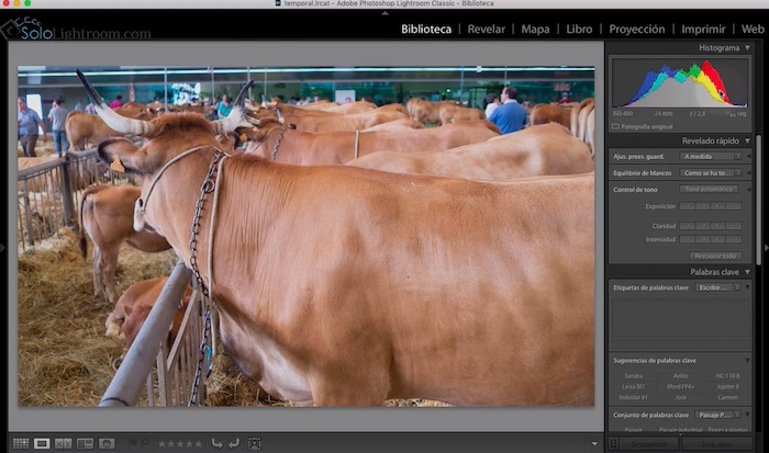 Curso de Lightroom Classic – Capítulo 22: Módulo biblioteca: Introducción al histograma