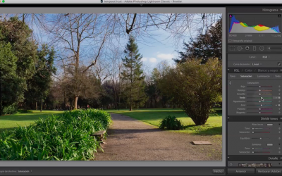 Curso de Lightroom Classic – Capítulo 29: Módulo revelado: Tono, Saturación y Luminancia por colores