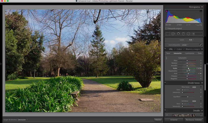 Curso de Lightroom Classic – Capítulo 29: Módulo revelado: Tono, Saturación y Luminancia por colores