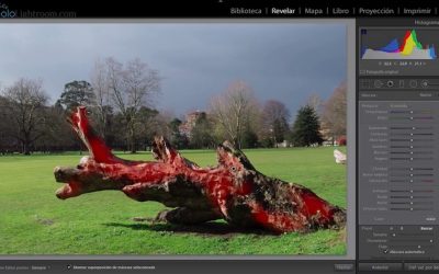 Curso de Lightroom Classic – Capítulo 34: Módulo revelado: El pincel de ajuste (II)