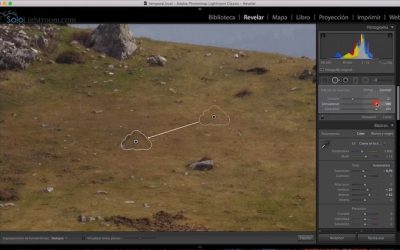 Curso de Lightroom Classic – Capítulo 37: Módulo revelado: Herramienta de eliminación de manchas