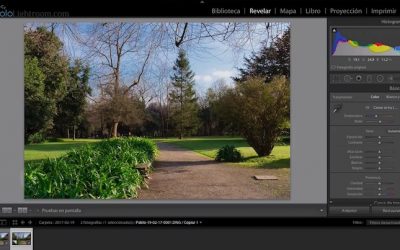 Curso de Lightroom Classic – Capítulo 38: Módulo revelado: El revelado con copias virtuales