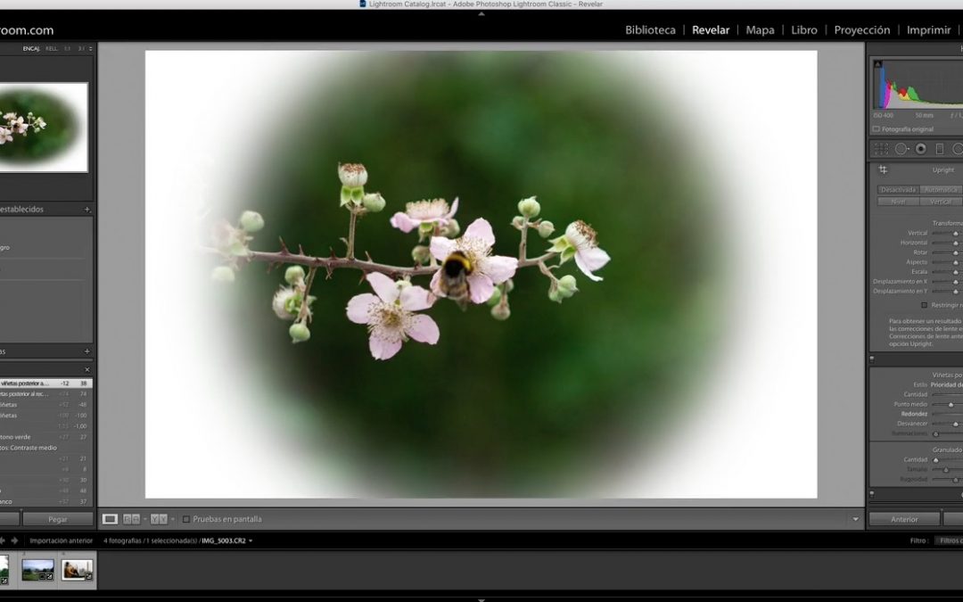 Curso de Lightroom Classic – Capítulo 44: Módulo revelado: Las viñetas