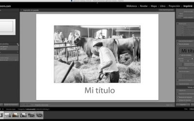 Curso de Lightroom Classic – Capítulo 51: Módulo Imprimir (I)